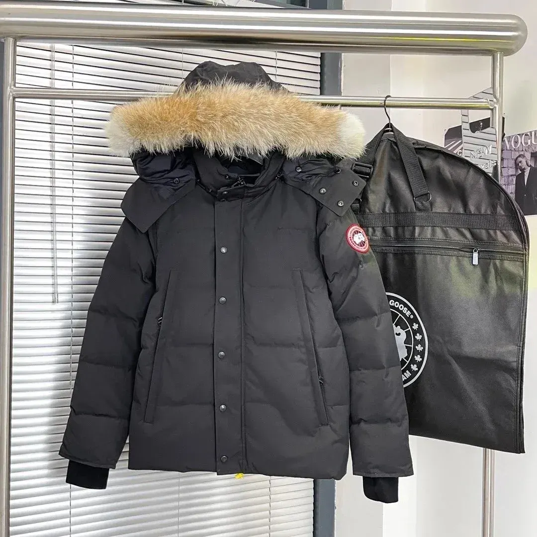 Black-（Red badge）