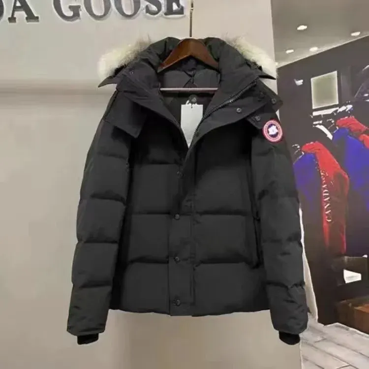 Canada G00se Puffer Jacket